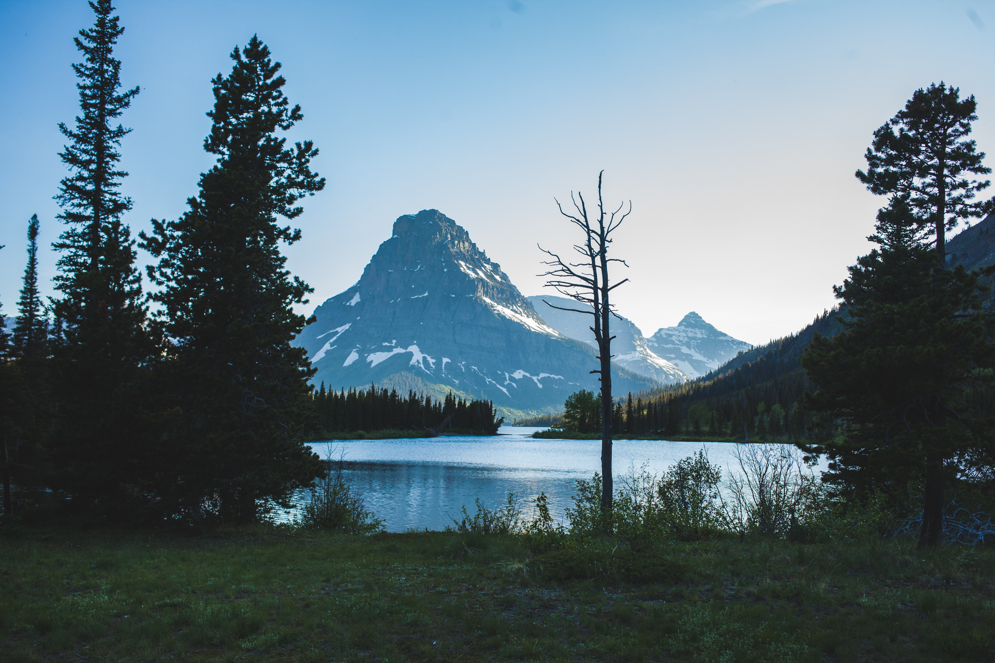 montana-23