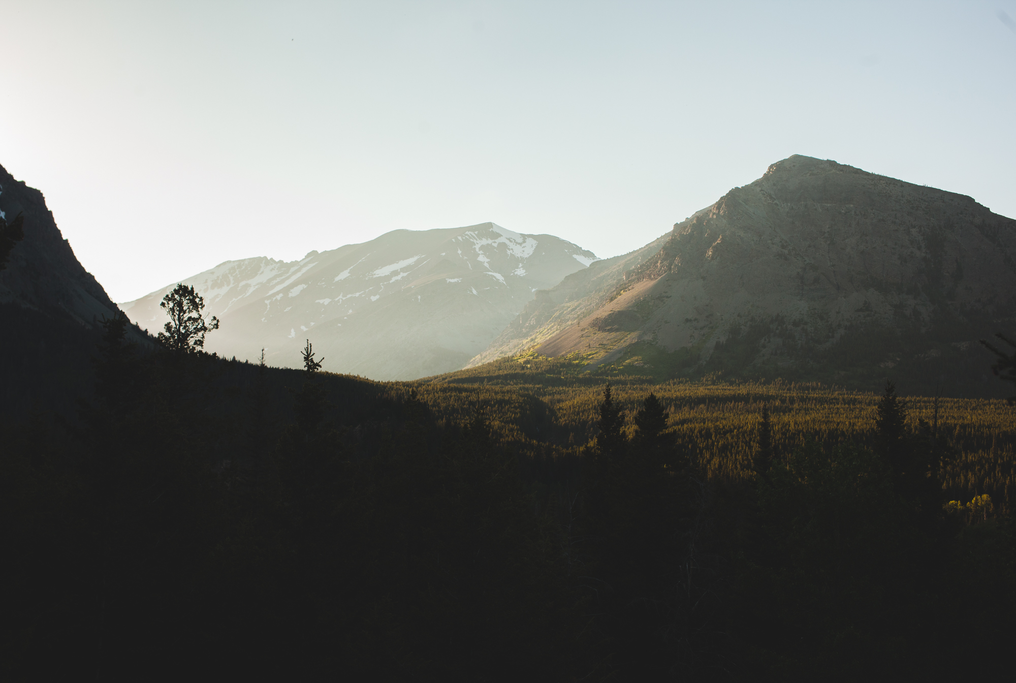 montana-32