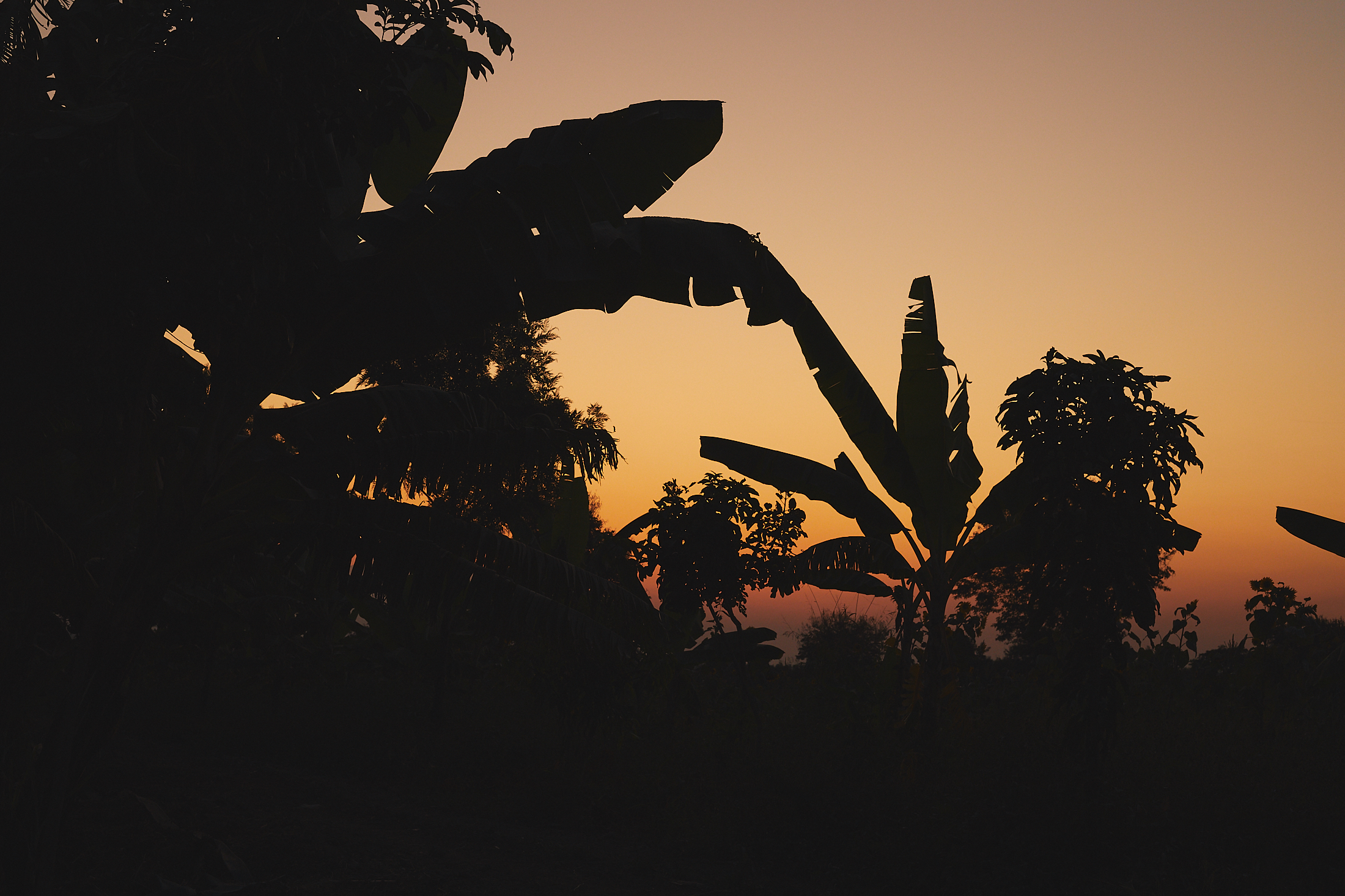Tanzania_web 8