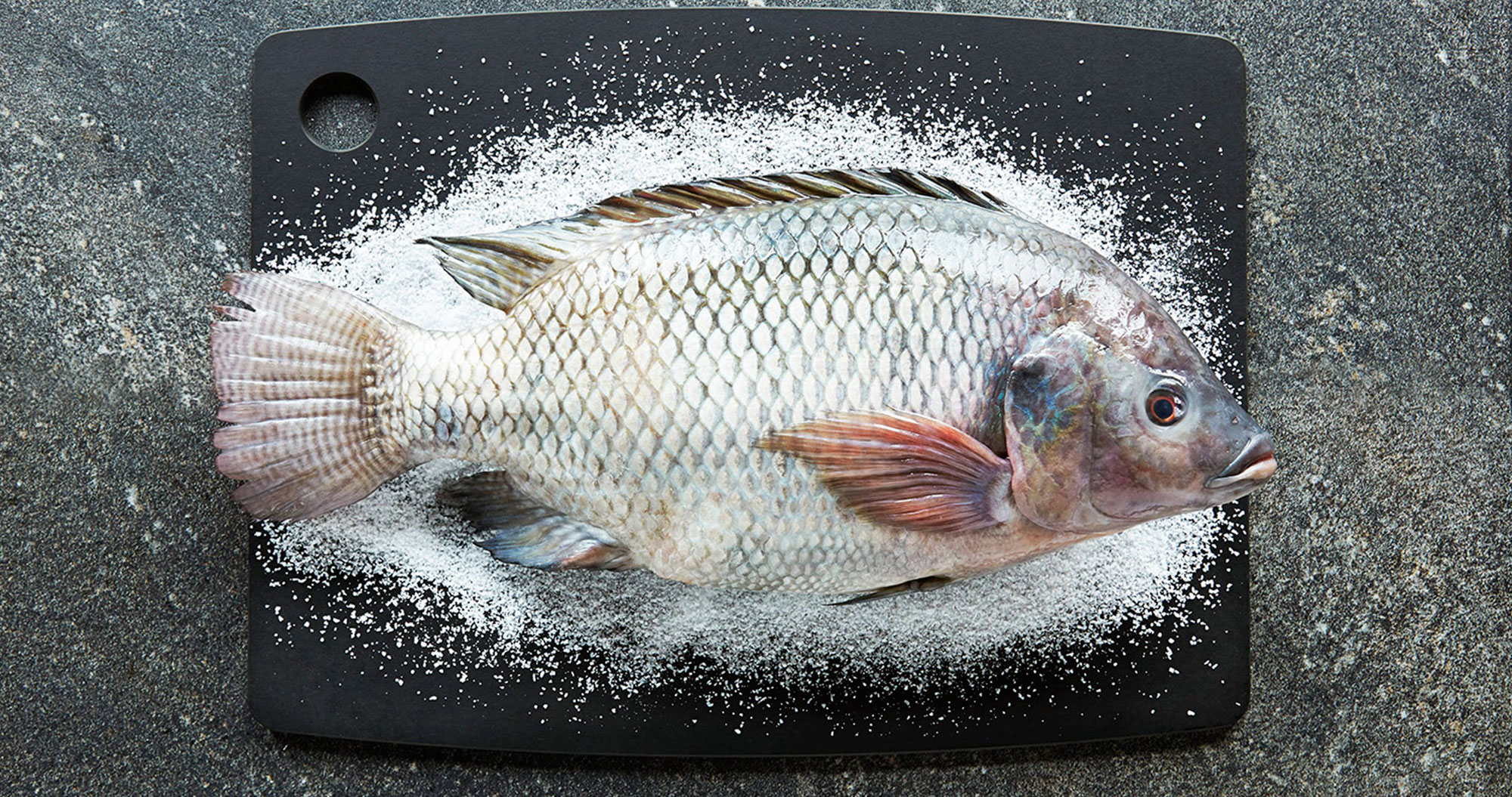 wholefish-on-black