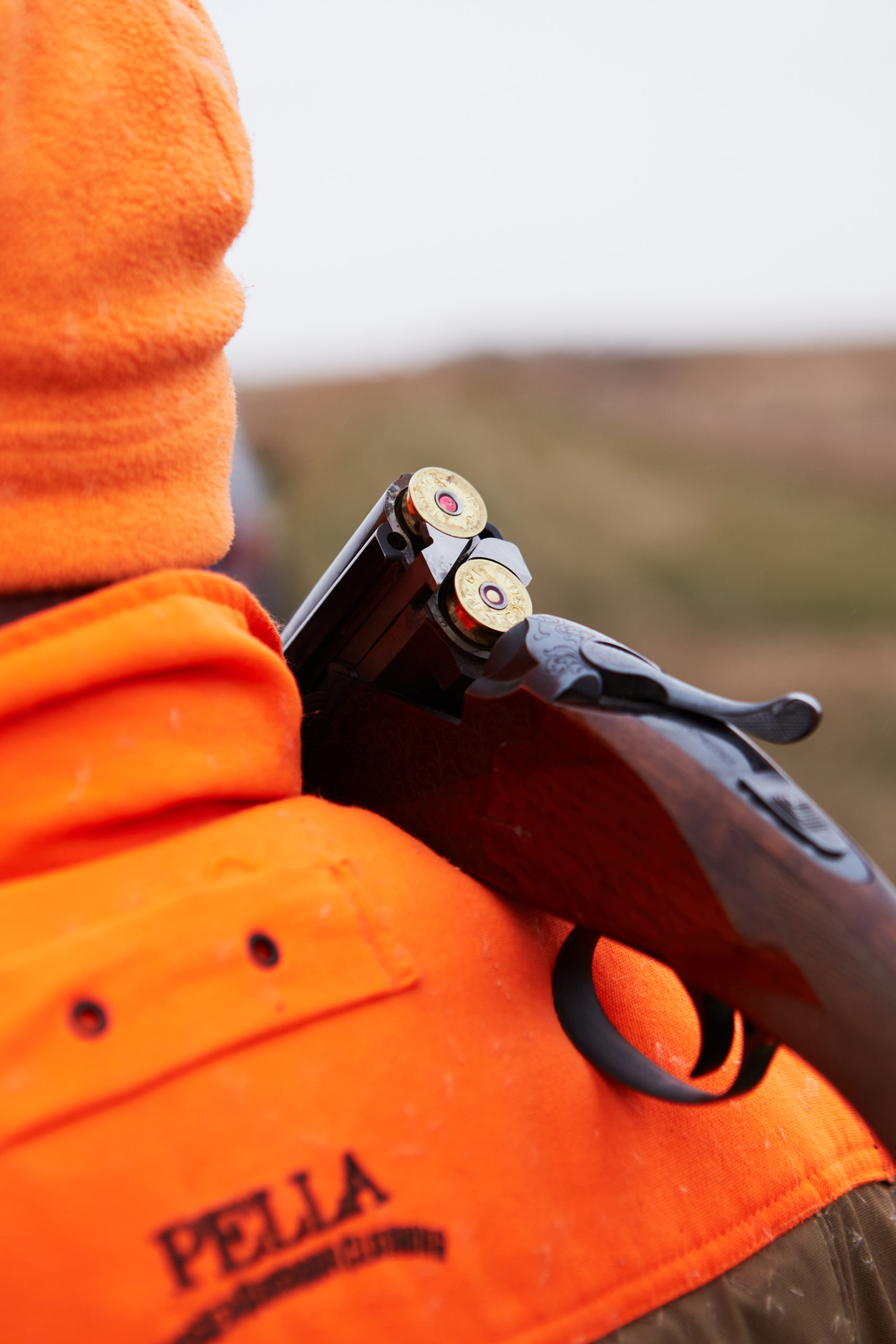 RoosterRush2683