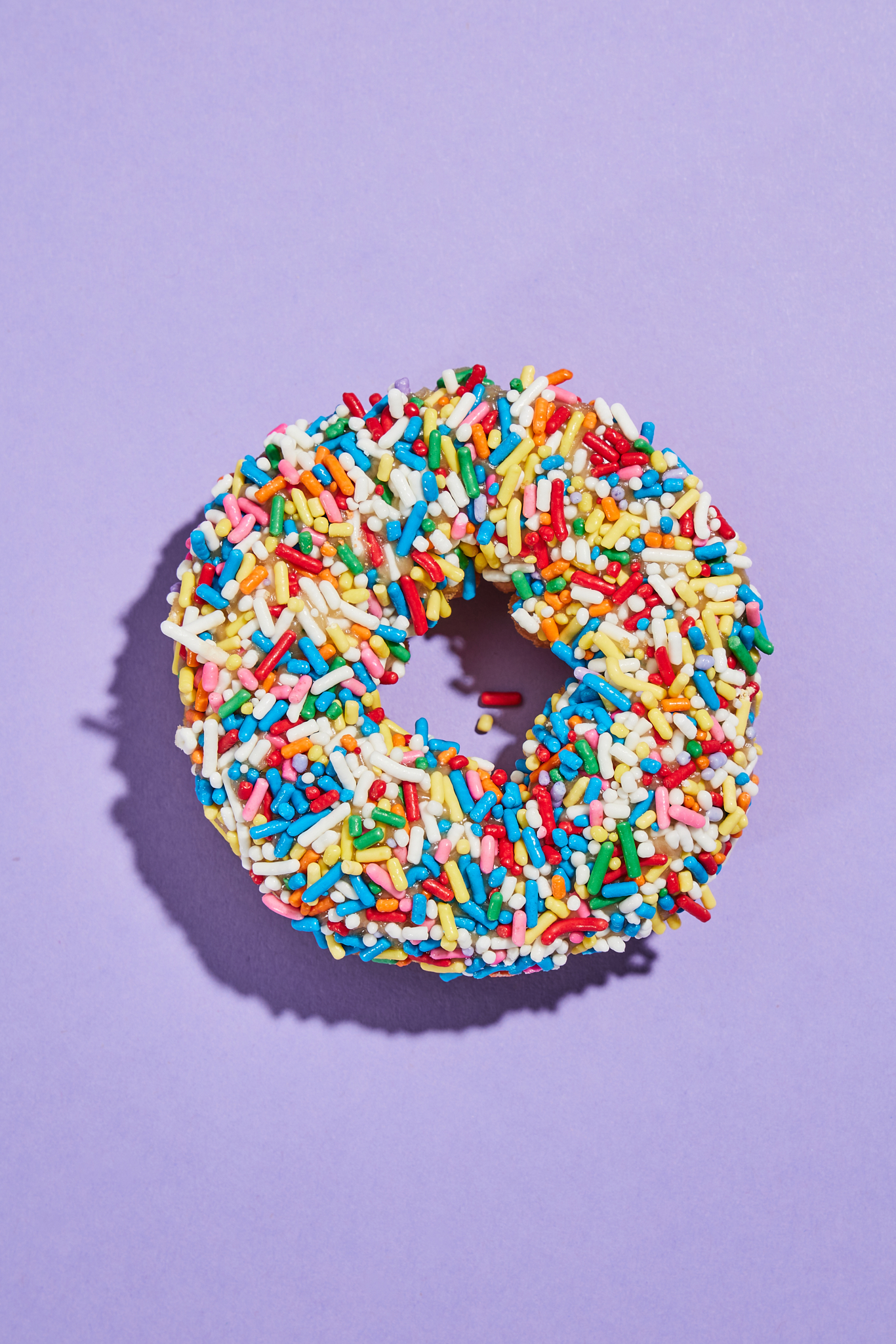 PilsenGosiliDonuts 40