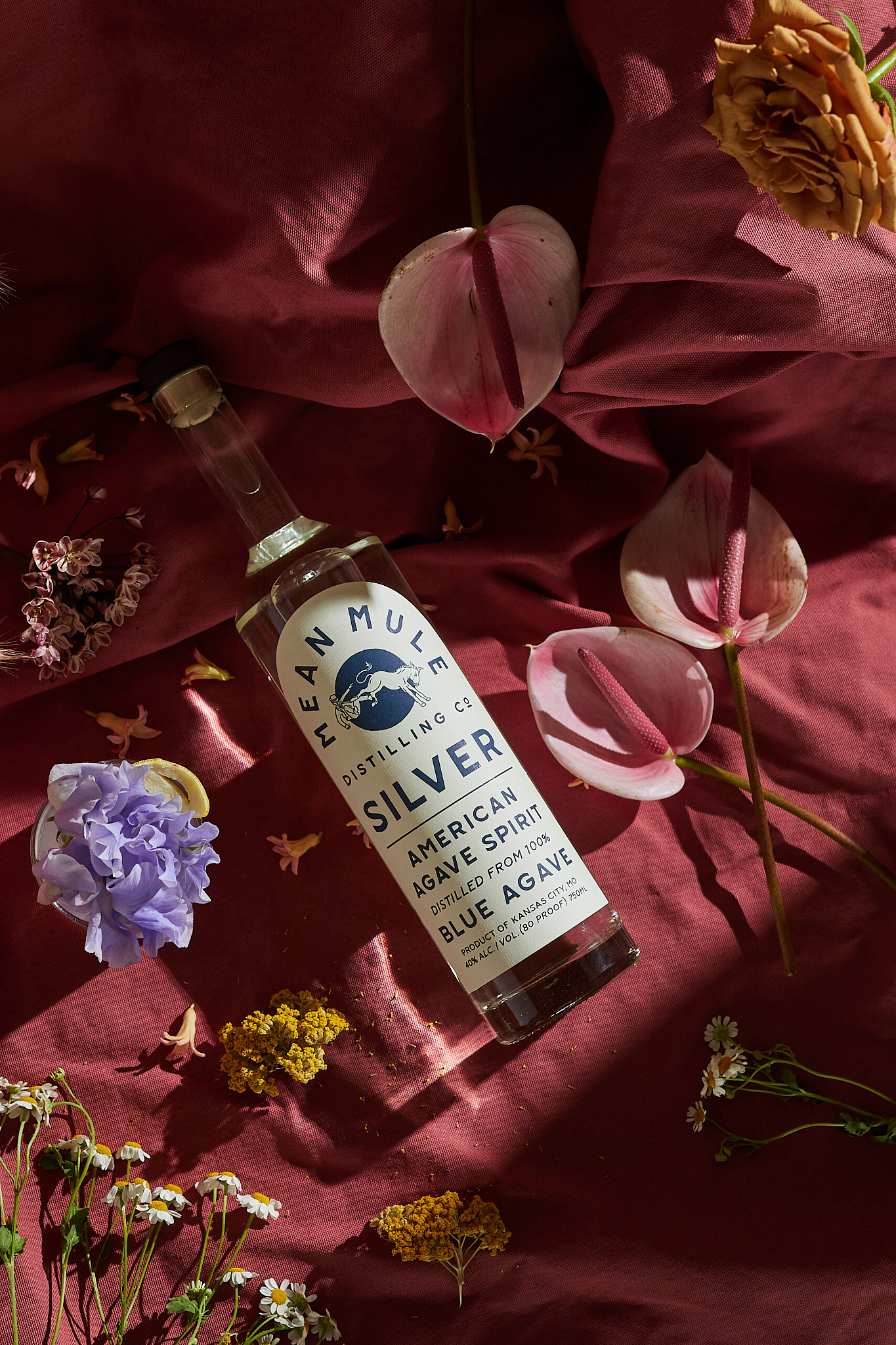 PilsenGosilispringfloral11776